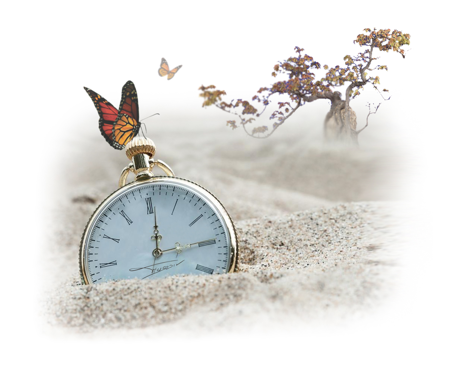 A "TEGNAP" után Hussar Arts International Academy